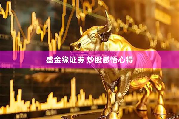 盛金缘证券 炒股感悟心得