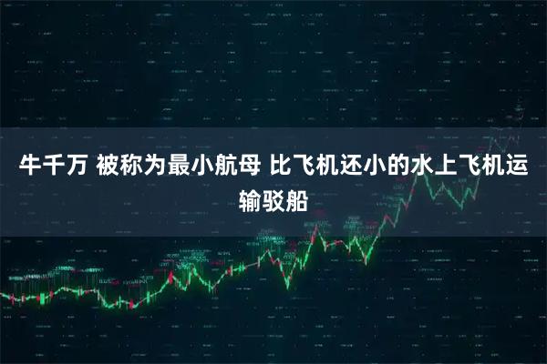 牛千万 被称为最小航母 比飞机还小的水上飞机运输驳船