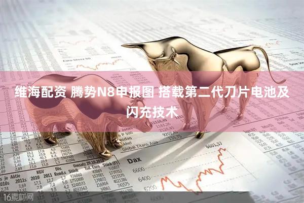 维海配资 腾势N8申报图 搭载第二代刀片电池及闪充技术